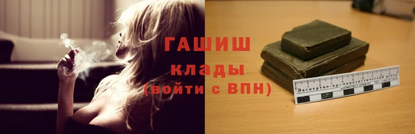 гидра Магас