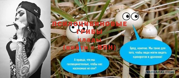 гидра Магас