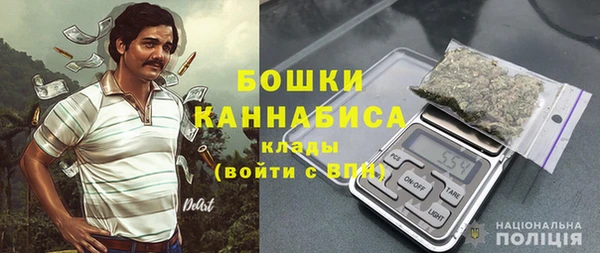 шишки Майский