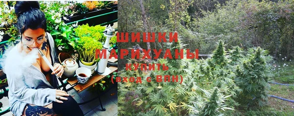 гидра Магас