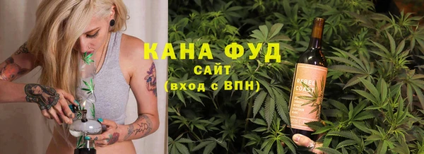 индика Лагань
