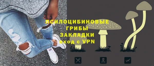 шишки Майский